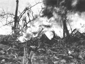 English: A Marine fighting on Guam uses flamethrowers against Japanese positions on Adelup Point.