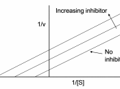 English: Lineweaver–Burk diagram of uncompetitive enzyme inhibition