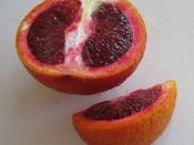 A blood orange, sliced to show the flesh