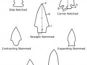 English: Projectile point terminology. Adapted from 