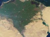 NASA image of Nile Delta, taken by MISR instrument on January 30, 2001. Cropped.