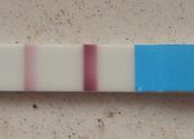 positive pregnancy test strip
