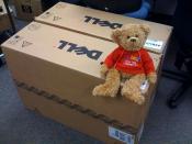 Bertie (phpBB's mascot) sitting on their new servers we just got :-)