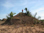 English: A giant anthill in Zambia (in Africa). It has been built entirely termites. Part of the hill has been dug away to make bricks (clay from an ant hill makes great bricks) and monsoon rains have washed a small amount of the clay off too. The land ar