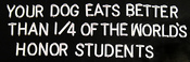 Your dog eats better than 1/4 of the world's honor students
