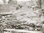 English: Battle of Antietam, 1862; Confederate dead at Bloody Lane, looking northeast from the south bank; the Union soldiers looking on were likely members of the 130th Pennsylvania, who were assigned burial detail