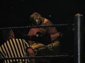 Kane & Rey Mysterio