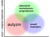 Autism spectrum