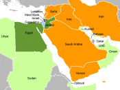 Arab Israeli Conflict 7