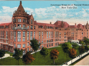 English: Glossy color postcard of the American Museum of Natural History, New York City. The back is difficult to read because of double-printing (the ink has seeped through to the front). Published by the American Art Publishing Co., New York City.