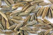 Close-up picture of cumin seeds (Cuminum cyminum).