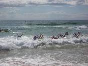 Board Race of the Nippers heading the open sea.