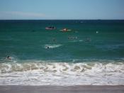Nippers during their Surf Race competition.