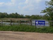 English: Lottery funded Lottery assistance was used to clear silt from the pond to improve its wildlife and fishing assets.