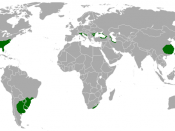 English: Humid subtropical climate zones of the world.