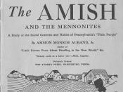 Birth of Mennonite movement