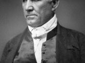 Sam Houston chaired the committee which wrote a proposed state constitution.