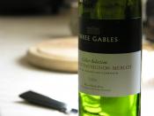 A bottle showing the translucent green of many wine bottles. A random picture of an empty bottle of wine.