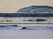 Frozen landscape. Kincaid Beach, Anchorage, Alaska