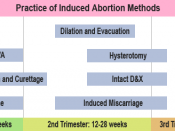 Gestational age may determine which abortion methods are practiced.