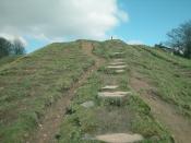 English: Stairway to Heaven ? Steps on the public footpath near Touch Road Farm.