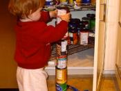 English: Subject: Quinn, an ~18 month old boy with autism, obsessively stacking cans. Date: Late 2002. Place: Walnut Creek, California. Photographer: Andwhatsnext. Scanned photograph. Credit: Copyright (c) 2003 by Nancy J Price (aka Mom). This is an edite