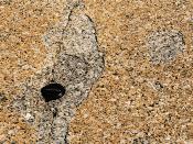 English: Exfoliation from a syenite surface, exposed to chemical weathering