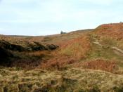 English: The Climb to Top Withens. Thought to be the inspiration for the Earnshaws home in Emily Brontes' novel 'Wuthering Heights'.