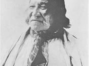 English: Crow Dog, Brule Lakota Chief