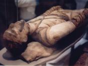Tubercular decay has been found in the spines of Egyptian mummies. Pictured: Egyptian mummy in the British Museum.