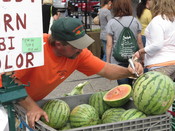 English: A farmer/vendor marking prices on melons, Lansing Farmers Market, Michigan, September 2010 - Photograph by Patty Mooney of San Diego, California