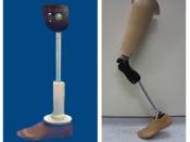 English: Low cost above knee prosthetic limbs: ICRC (left) LC Knee (right)