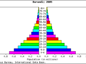 Population pyramid