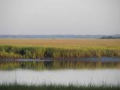 English: The marsh views from Hunting Island have become representative of the South Carolina Lowcountry.