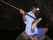 English: Night spear fishing , Amazon basin ,Peru. taken by:Yuval gelber