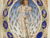 Anatomical Man in the Duke Berry's Très Riches Heures