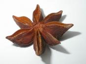 Star Anise is a very common flavouring in Chinese cuisine