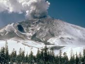 English: On March 20, 1980, after a quiet period of 123 years, earthquake activity once again began under Mount St. Helens volcano. Seven days later, on March 27, small phreatic (steam) explosions began. This view is from the northeast.