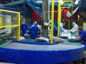 Belt Conveyor systems at a Packing Depot