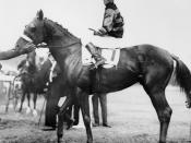 Sir Barton and jockey Johnny Loftus, 1919 Preakness Stakes