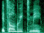 A spectrogram (0-5000 Hz) of the sentence 