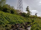 English: Niddrie Burn. Niddrie Burn flows from the Braid hills down to the Firth. Here it runs between housing schemes in The Jewel and Brunstane area where there appears to be problems with local environmental issues; there is a restoration project being