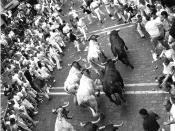 English: Running of the bulls during Sanfermines in Iruñea - Pamplona, Spain. Español: Encierro con toros durante los Sanfermines de Pamplona, España