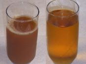 Left: sweet cider. Right: apple juice.
