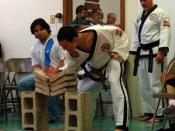 Four concrete paving bricks broken with a knife-hand strike. Breaking techniques are often practiced in taekwondo