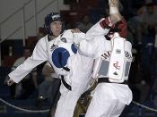 Taekwondo Fight 01