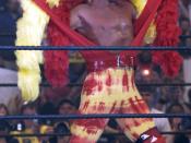 WWE wrestler Hulk Hogan