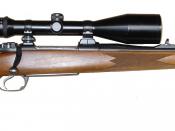 Modern Hunting Rifle 