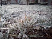 English: Ice glaze on grass, taken in Pennsylvania, USA during freezing rain on December 16, 2007