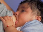 English: Breastfeeding an infant Português: Um recém-nascido em aleitamento